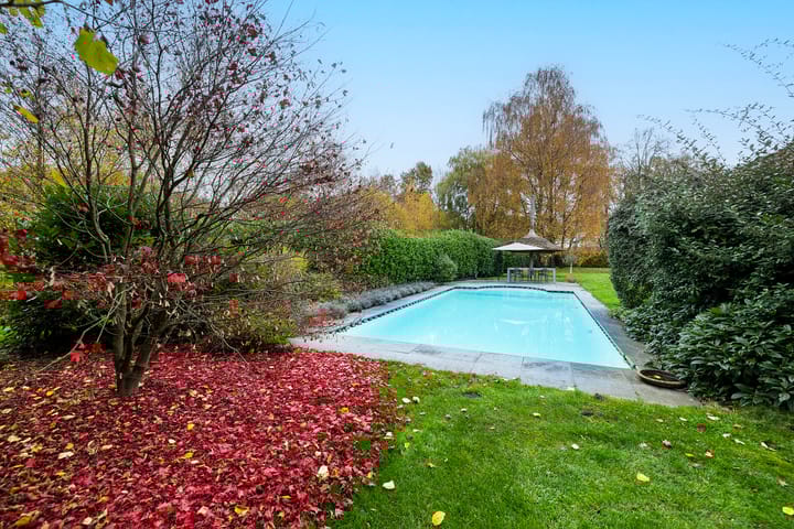 Foto 53 van Tolstraat 1