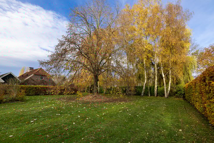 Foto 56 van Tolstraat 1