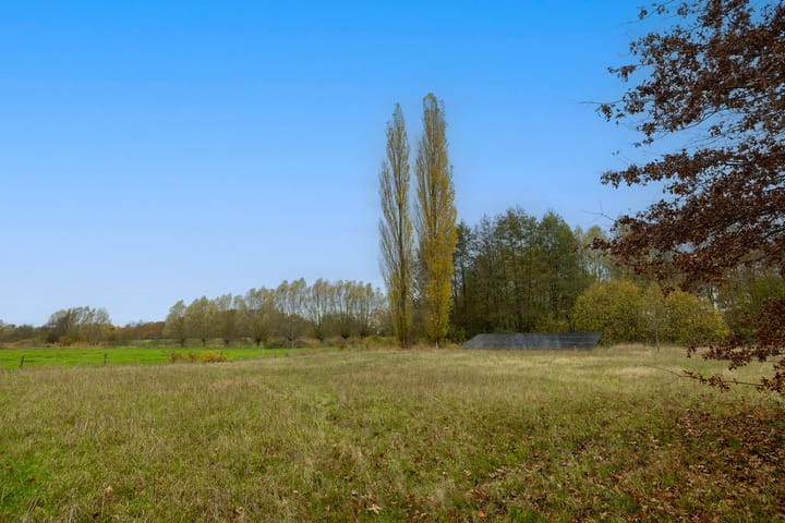 Foto 60 van Tolstraat 1