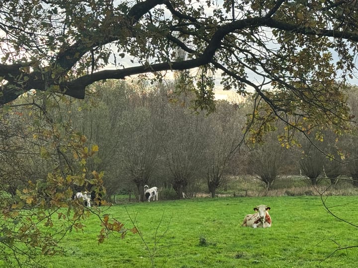 Foto 63 van Tolstraat 1