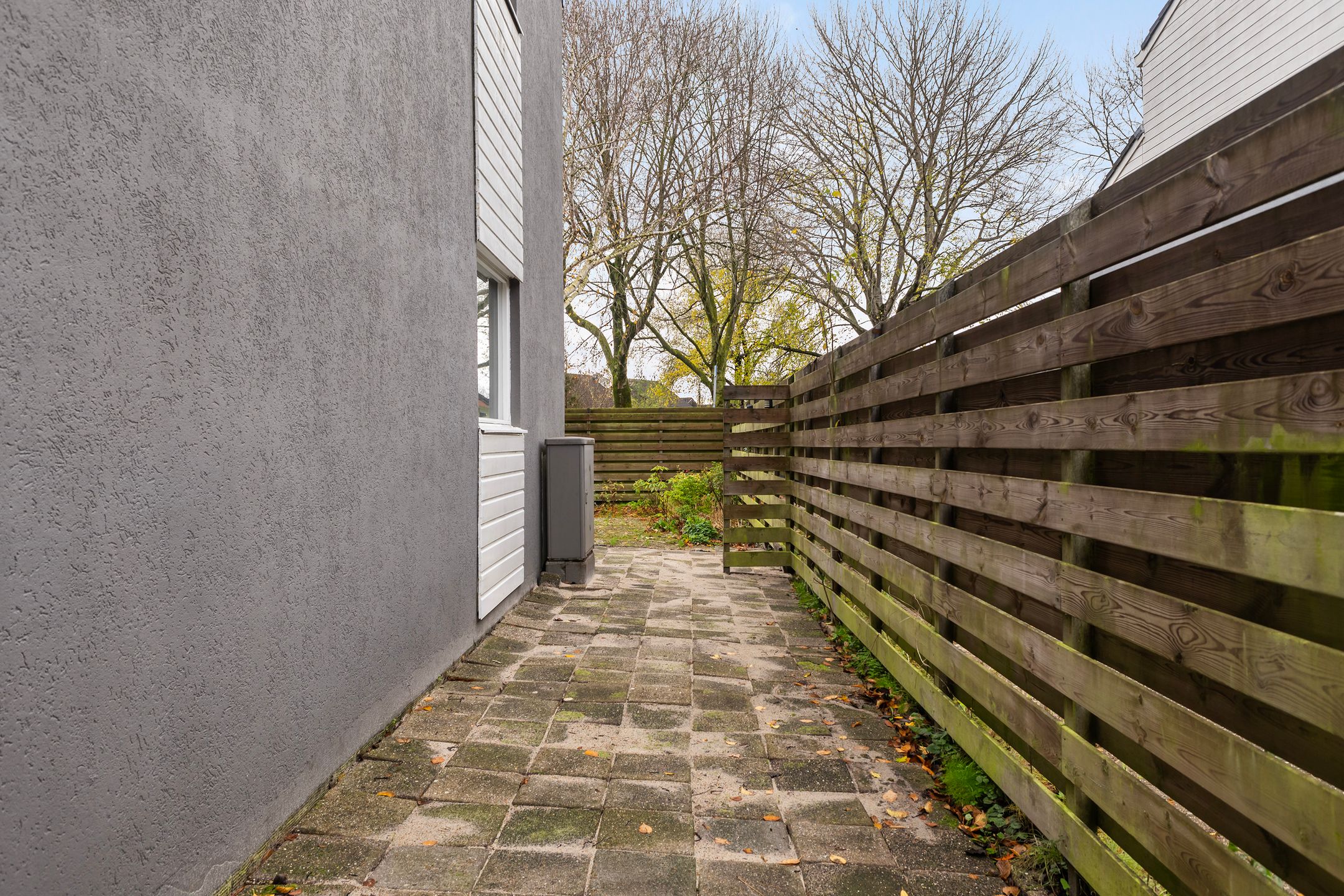 Foto 33 van Kamgras 149