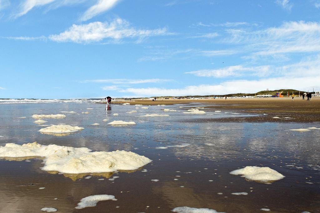 Foto 30 van Dirk Hoogenraadstraat 45