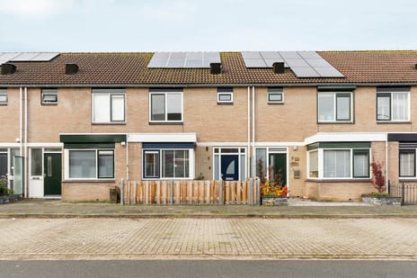 undefined main image