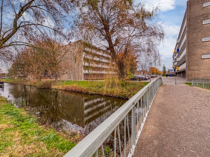 Van Borselenstraat 214