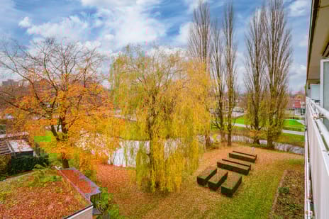 Van Borselenstraat 214 secondary image