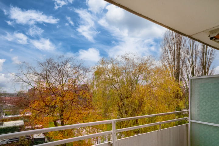 Photo 21 of Van Borselenstraat 214