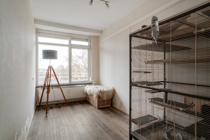 Photo 28 of Van Borselenstraat 214