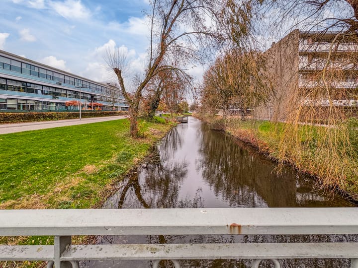 Photo 36 of Van Borselenstraat 214