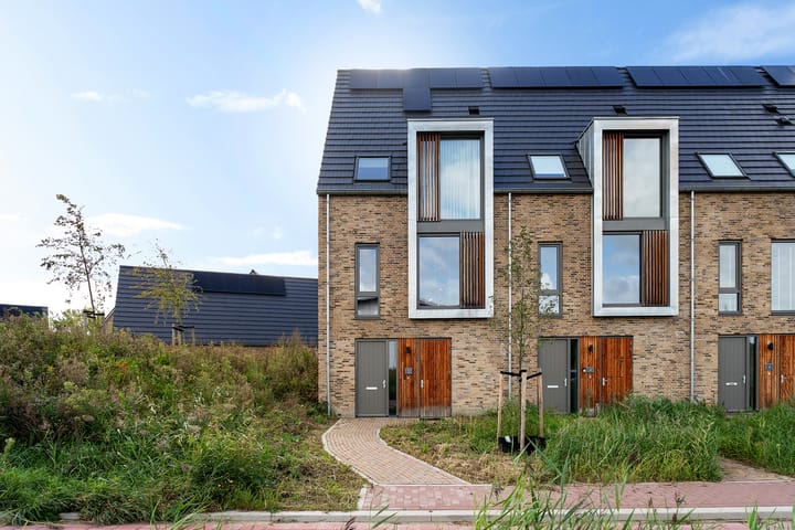 Foto 6 van Aralmeer 2