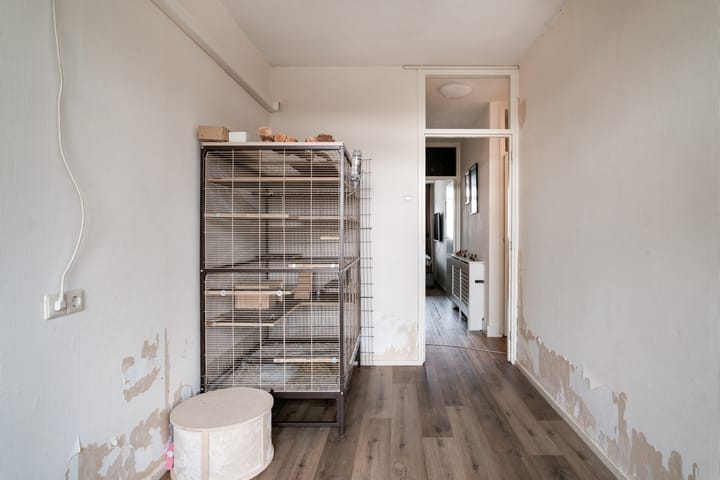 Photo 29 of Van Borselenstraat 214