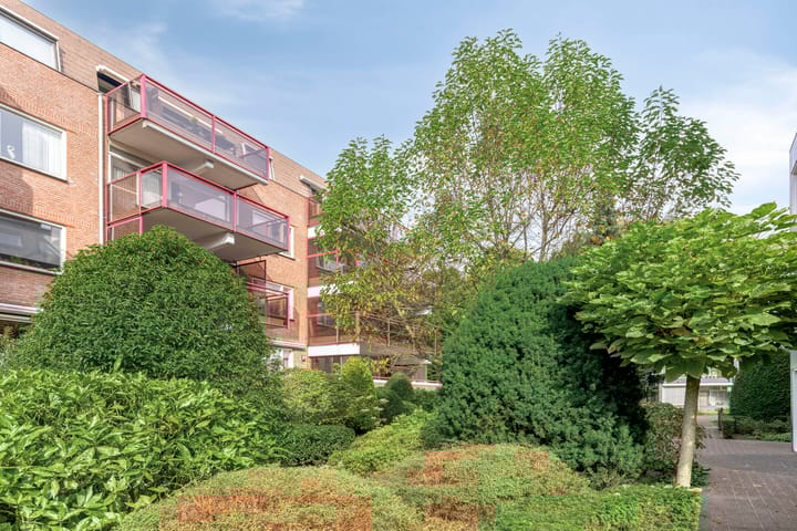 Photo 7 of Hartenvier 1