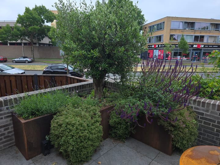 Photo 27 of Wethouder van Eschstraat 147