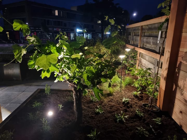 Photo 28 of Wethouder van Eschstraat 147