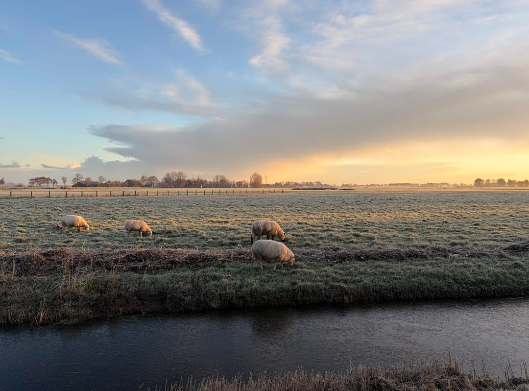 Photo 46 of Fryhofke 9