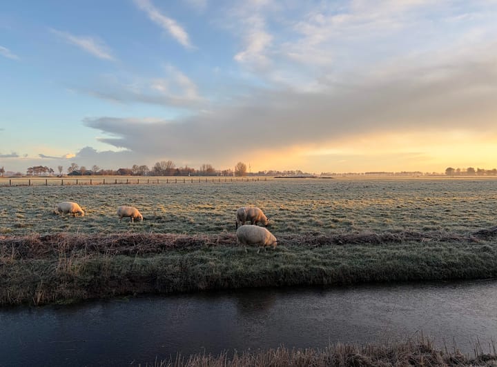 Photo 46 of Fryhofke 9