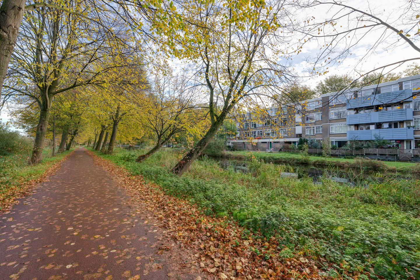 Foto 35 van Voorsteven 81