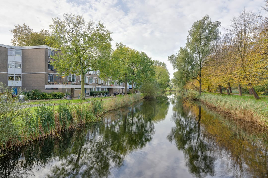 Foto 37 van Voorsteven 81