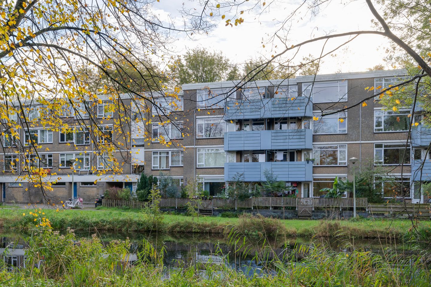 Foto 40 van Voorsteven 81