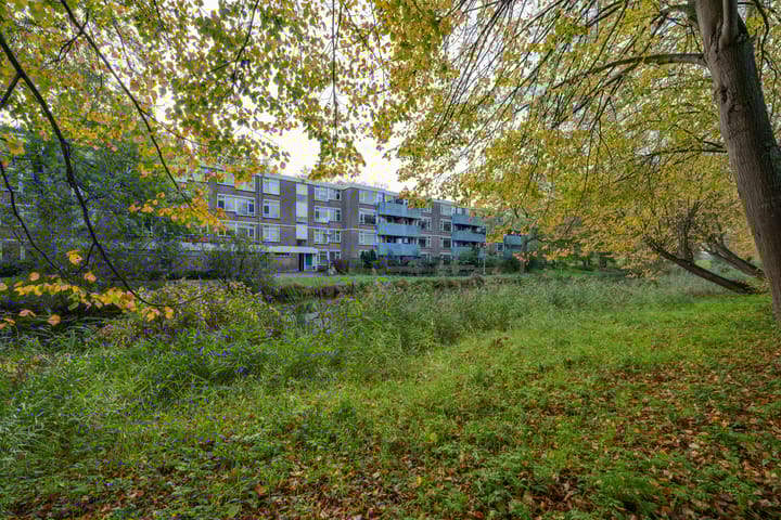 Foto 38 van Voorsteven 81