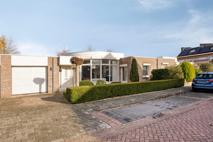 Foto 1 van Boommarter 5