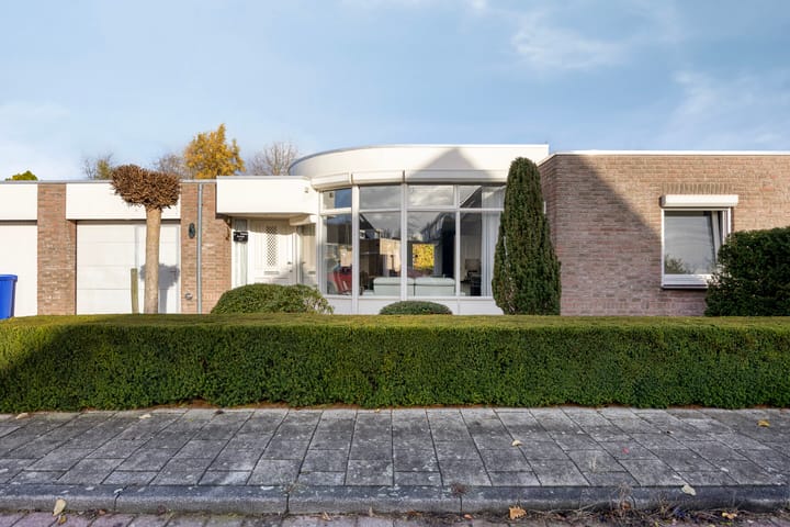 Foto 31 van Boommarter 5