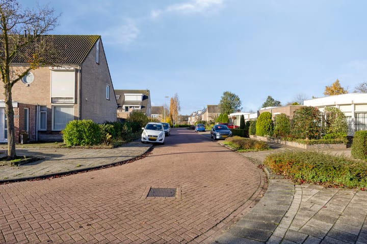 Foto 32 van Boommarter 5