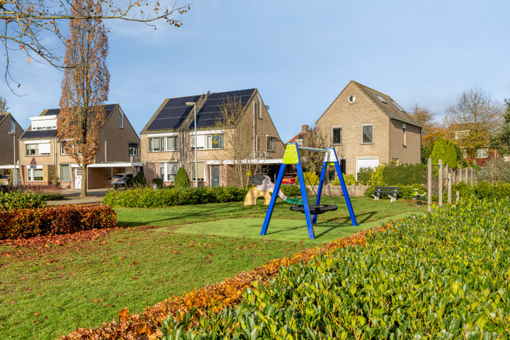 Foto 33 van Boommarter 5