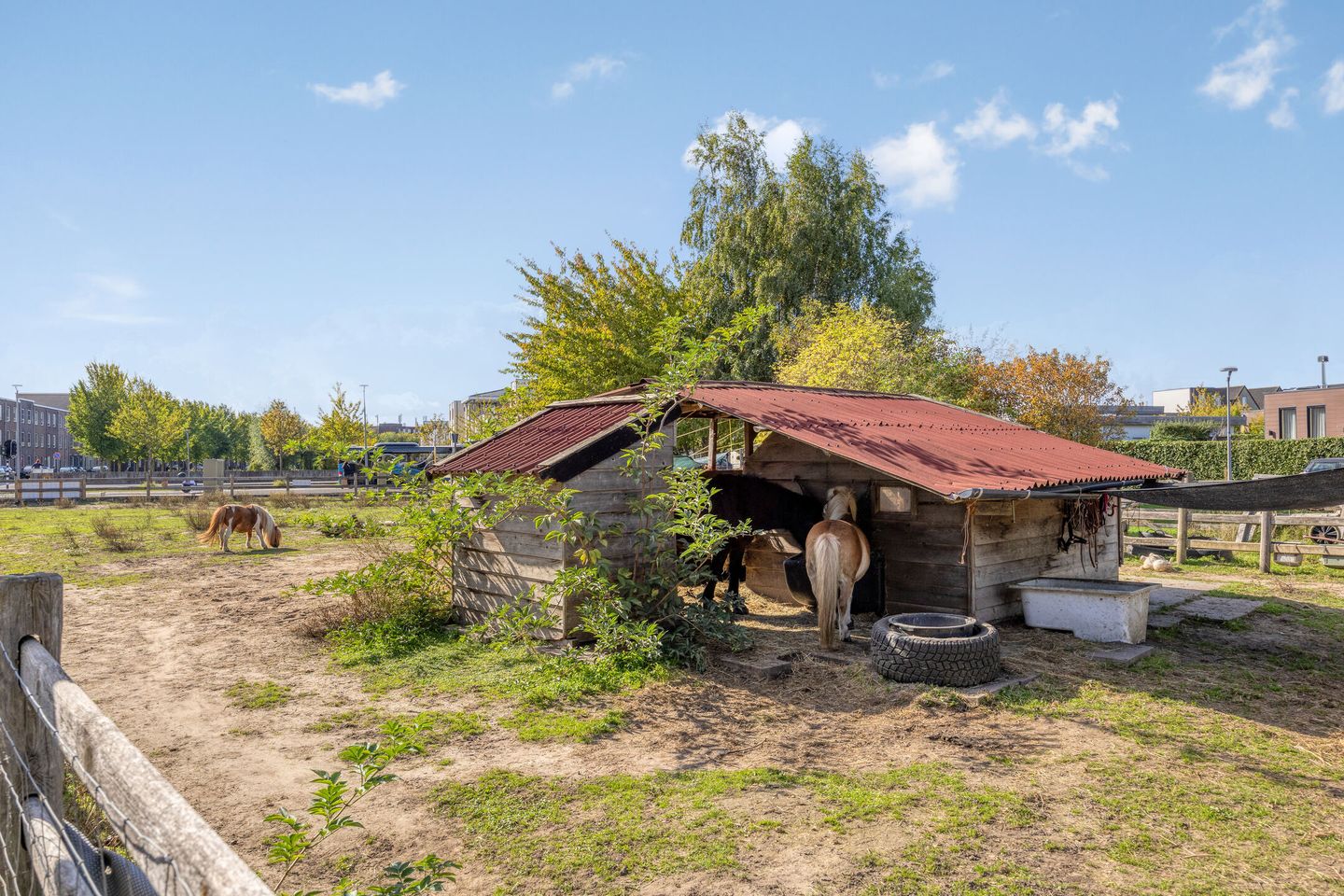 Foto 35 van Mazustraat 48