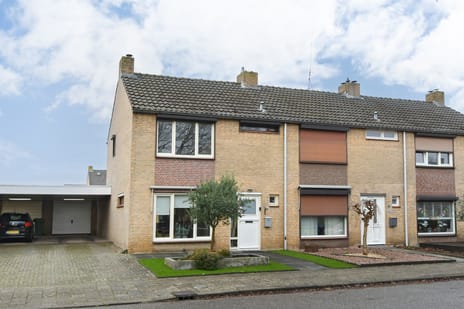 undefined main image