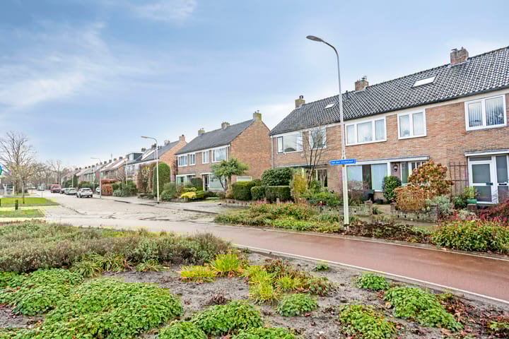 Foto 30 van Van den Vondellaan 50