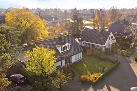 De Stelle 45 secondary image