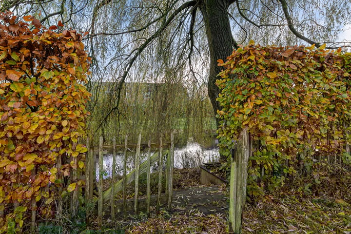 Photo 42 of De Stelle 45