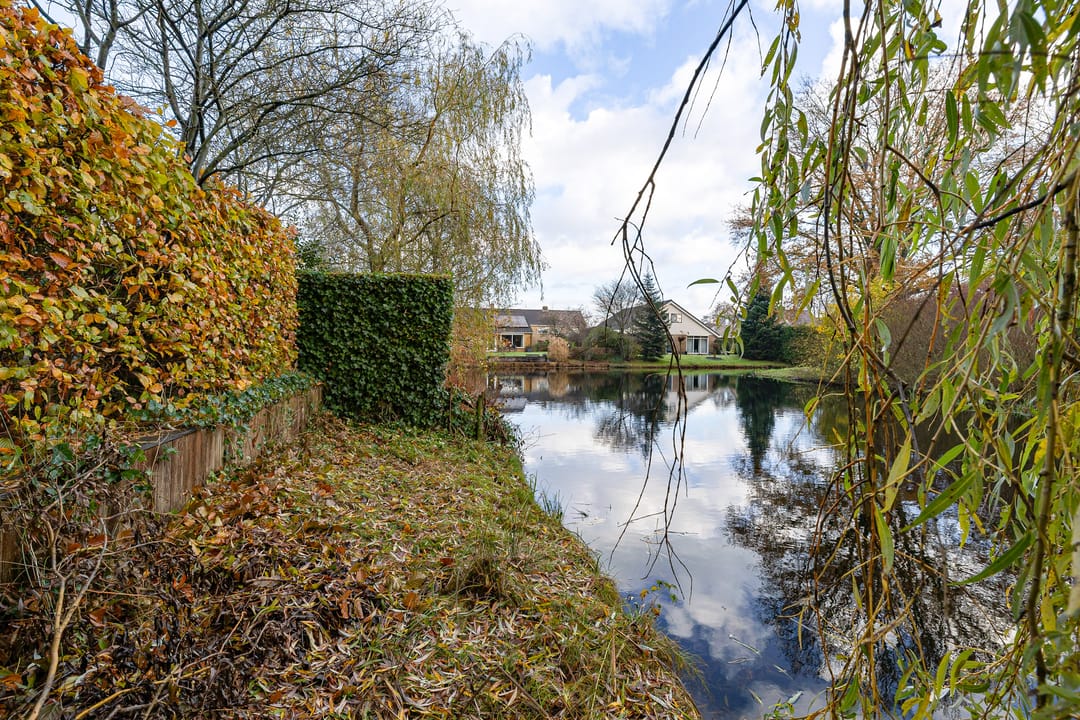 Photo 43 of De Stelle 45