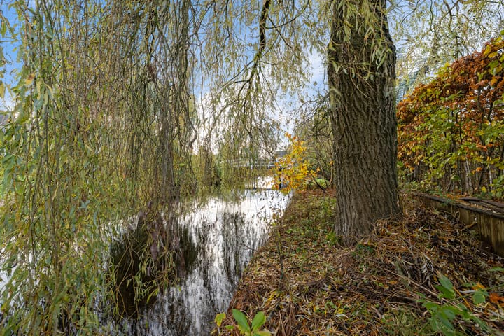 Photo 44 of De Stelle 45