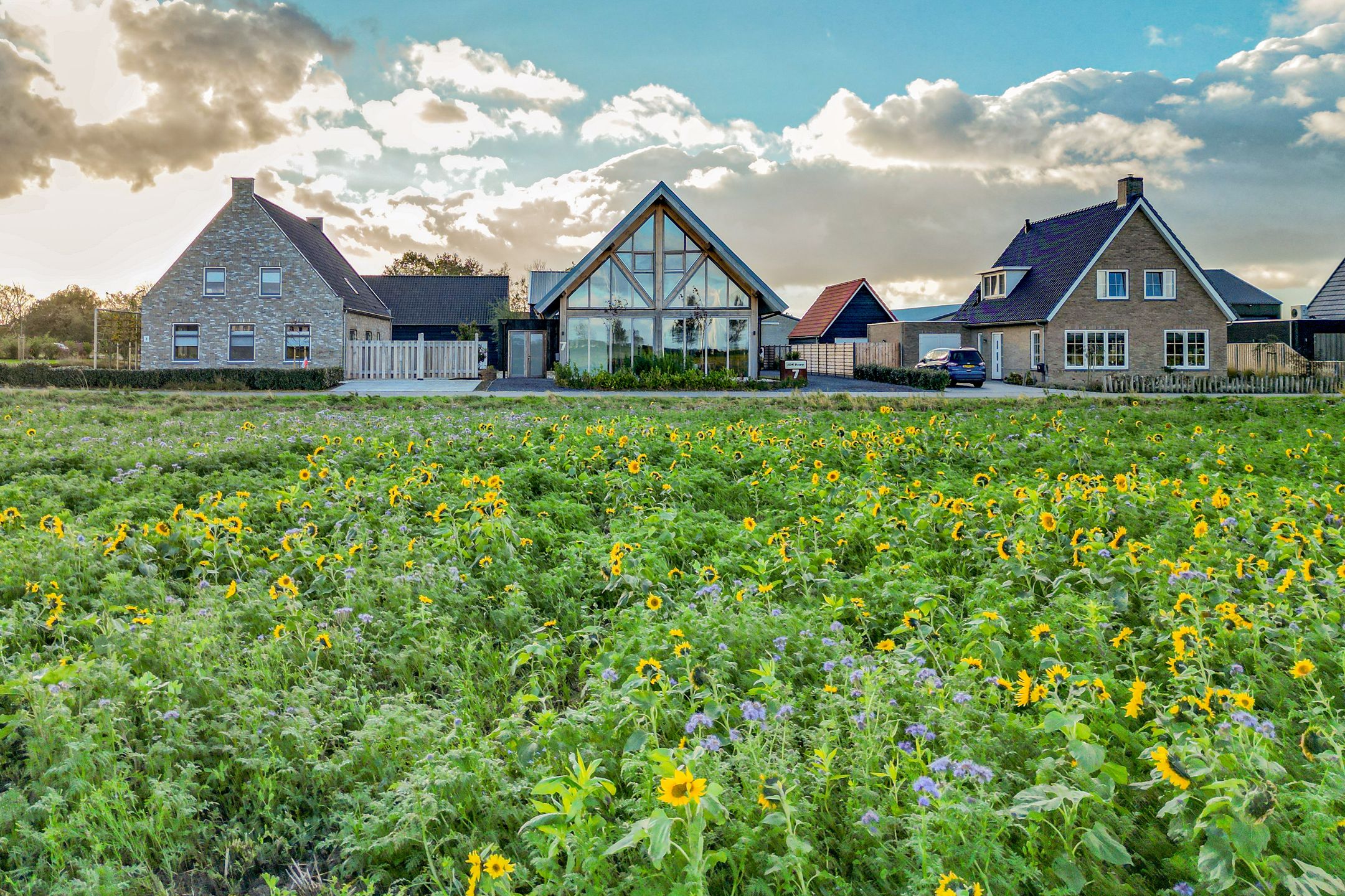 Foto 6 van Molenpad 7