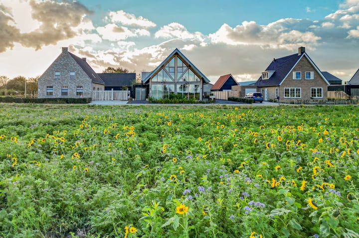 Foto 6 van Molenpad 7