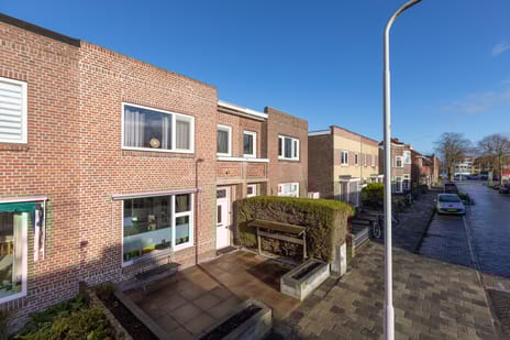 undefined main image