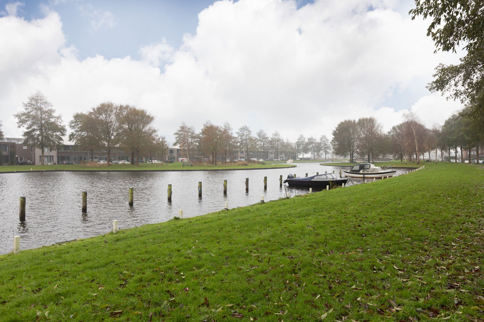 Photo 39 of Parelmoervlinder 7