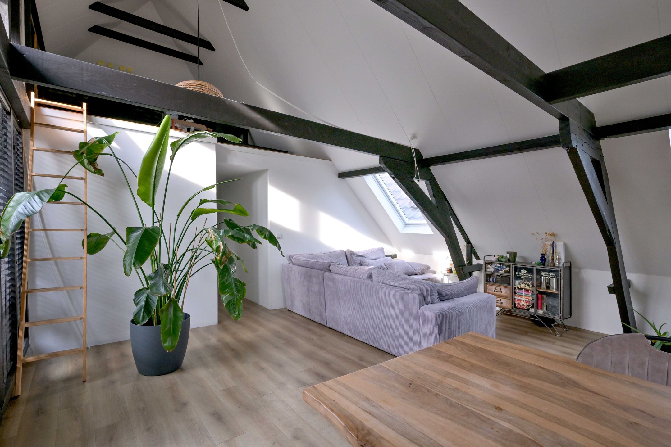 Foto 12 van Singelstraat 25-C