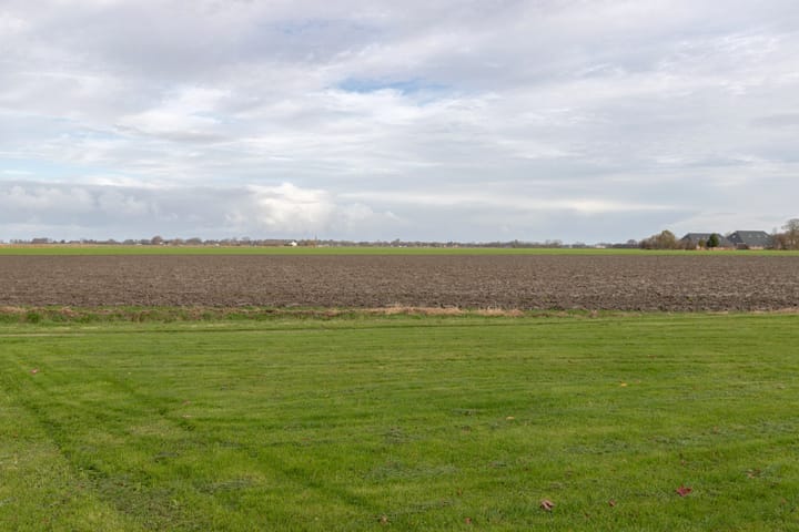 Photo 3 of De Snik 5