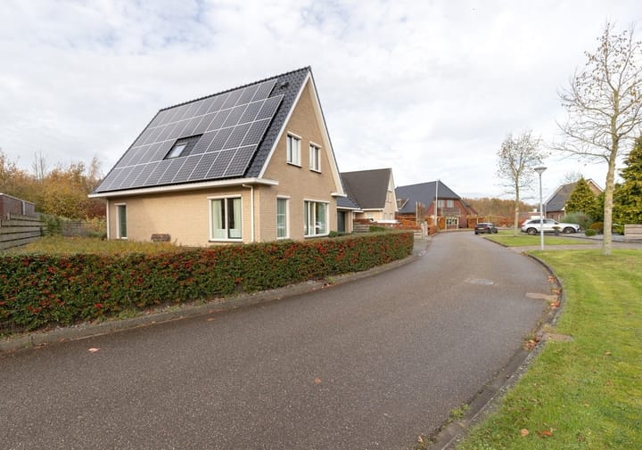 Foto 45 van De Snik 5