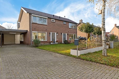 undefined main image