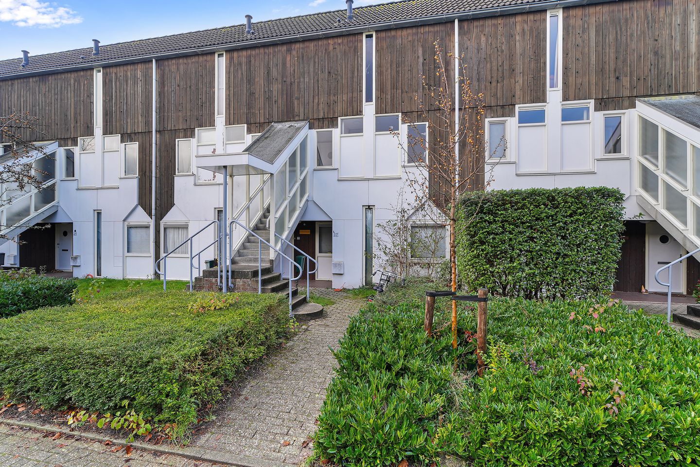 Foto 1 van Kanariesprenk 37