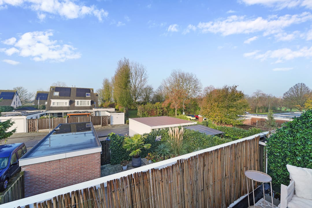 Foto 2 van Kanariesprenk 37