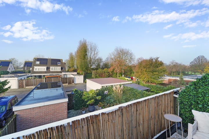 Foto 2 van Kanariesprenk 37