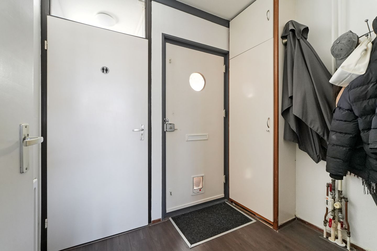 Foto 5 van Kanariesprenk 37