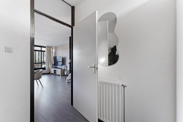 Foto 6 van Kanariesprenk 37