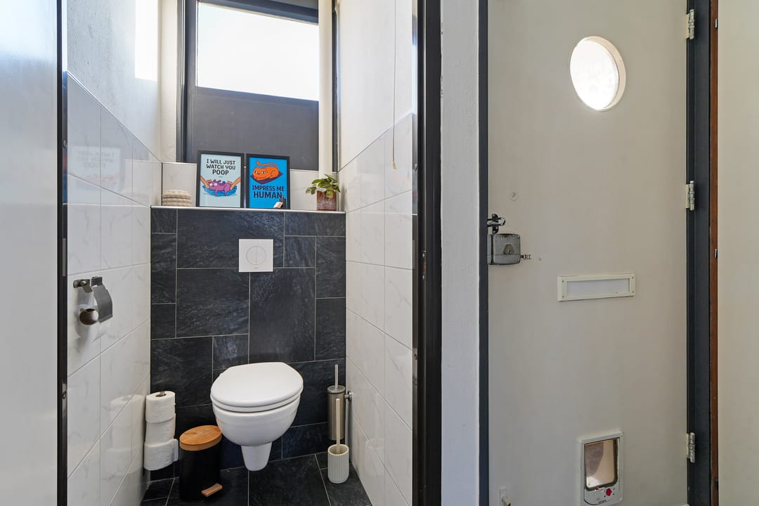 Foto 7 van Kanariesprenk 37