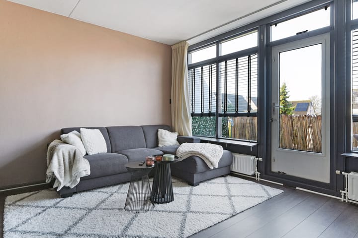 Foto 8 van Kanariesprenk 37