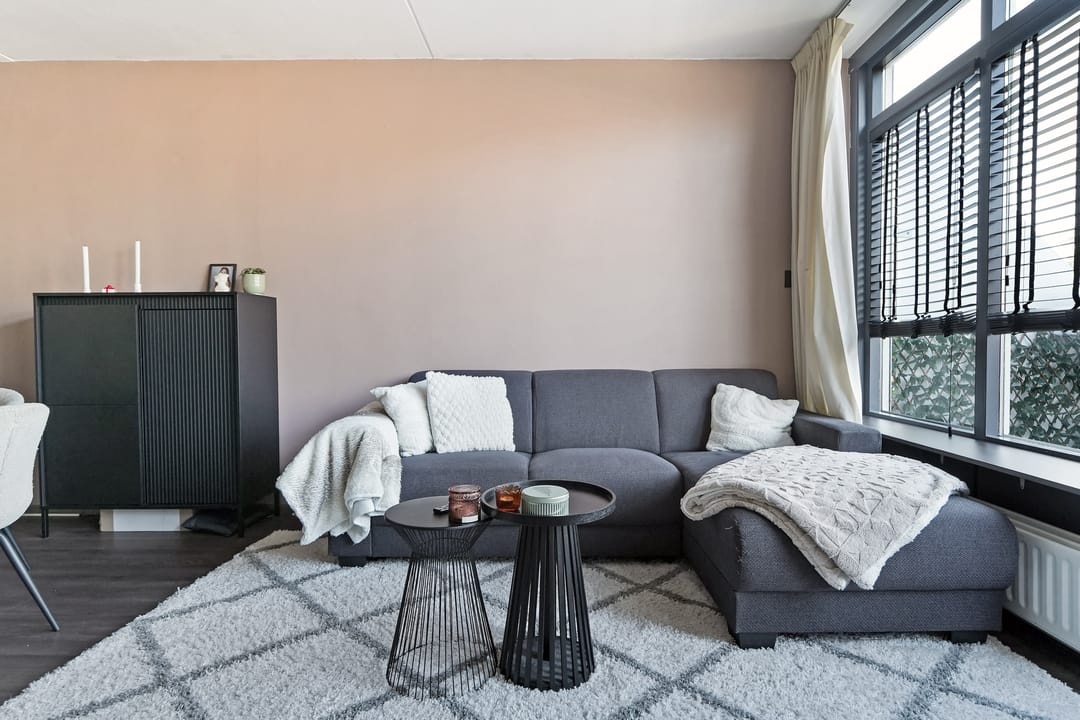 Foto 11 van Kanariesprenk 37